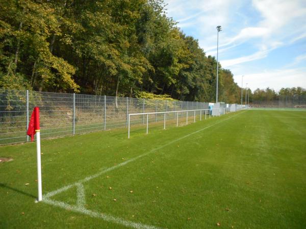FV-Sportanlage - Rasenplatz am Berg - Löchgau