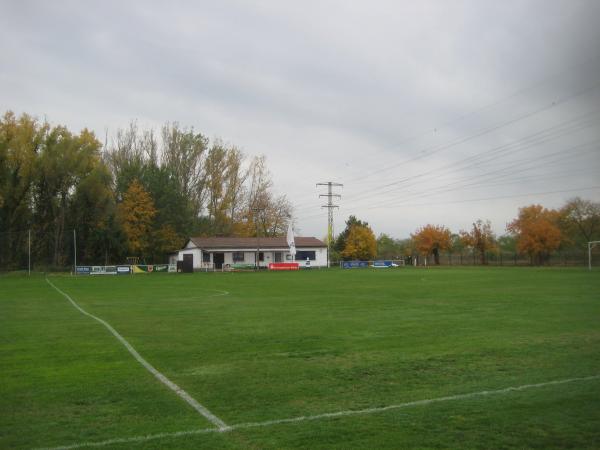 Sportplatz am See - Niedere Börde-Jersleben 