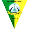 Wappen Hohenbockaer SV Grün-Gelb 1923 diverse
