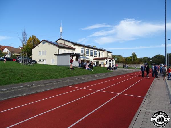 Sportanlage Seewiesenstraße - Backnang-Steinbach