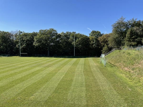 Sportplatz Am Wäldchen - Waldems-Niederems