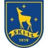 Wappen Ski IL diverse  107932