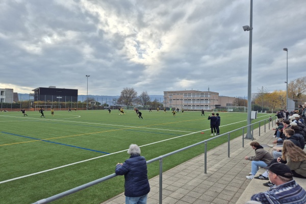 Sportzentrum Allmend Platz 2 - Meilen
