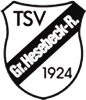 Wappen TSV Einigkeit Groß Hesebeck-Röbbel 1924 diverse  91515