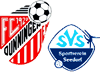 Wappen SGM Dunningen III / Seedorf IV (Ground B)
