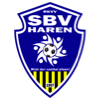 Wappen SBV Haren (Sport Brengt Vreugde) diverse  126493