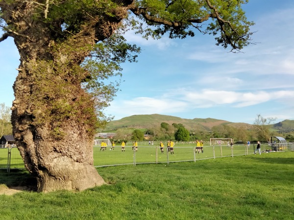 The Racecourse - Penybont, Powys