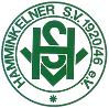 Wappen Hamminkelner SV 20/46 diverse
