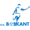 Wappen VV Boskant diverse  134910