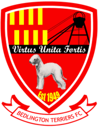 Wappen Bedlington Terriers FC