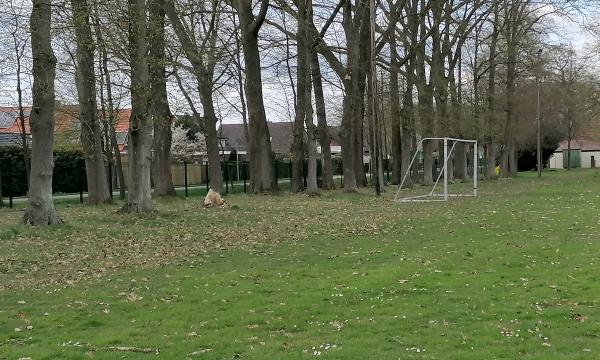 Sportplatz am Schützenhaus - Essen (Oldenburg)