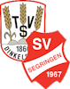Wappen SG Segringen/TSV Dinkelsbühl Reserve (Ground A)