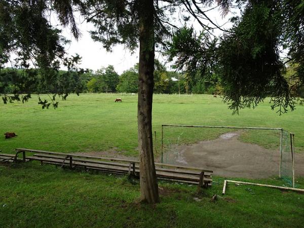 Salkhino Stadioni - Salkhino 