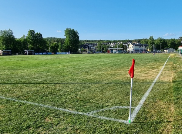Bjerke stadion gress - Maura