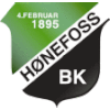 Wappen Hønefoss BK diverse