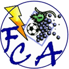 Wappen FC Arnex
