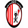 Wappen ASD San Daniele Calcio diverse