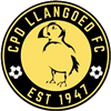 Wappen Llangoed FC
