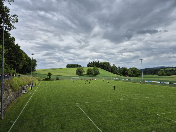 Sportplatz Sangera - Heitenried