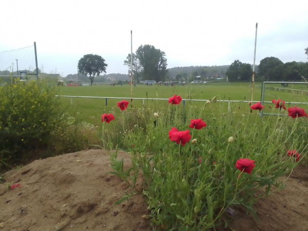 Stadion Schaffrusch - Schwaan