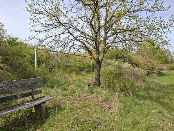 Sportplatz Sickendorf - Lauterbach/Hessen-Sickendorf