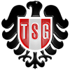 Wappen TSG 1861 Kaiserslautern diverse  49747