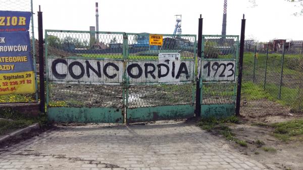 Stadion Miejski w Knurowie - Knurów