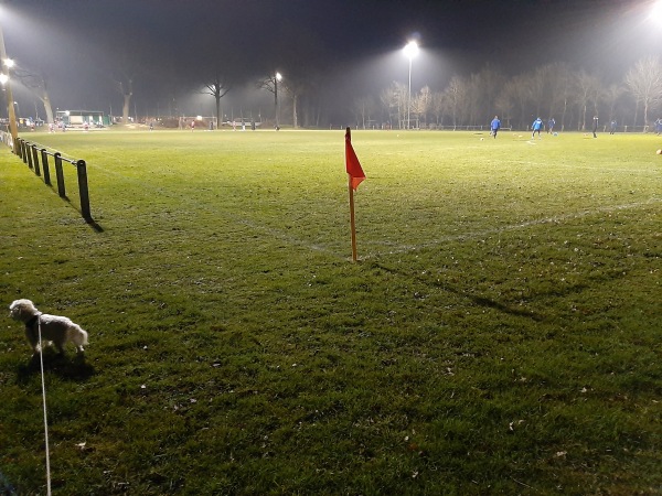 Waldstadion Nebenplatz 3 - Vreden-Ellewick