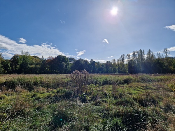 Sportanlage Mühlhweg Platz 2 - Limbach-Oberfrohna-Wolkenburg