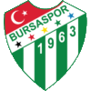 Wappen ehemals Bursaspor  18475