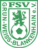 Wappen FSV Grün-Weiß Blankenhain 1990 diverse