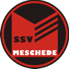 Wappen ehemals SSV Meschede 1882  119130