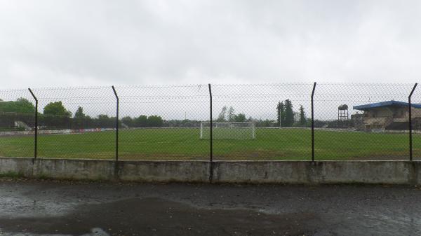 Stadioni Megobroba - Ozurgeti
