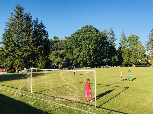 Cae Llwyn - Llanfyllin, POW