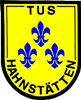 Wappen TuS Hahnstätten 1885 diverse