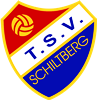 Wappen TSV Schiltberg 1964 II