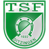 Wappen TSF Ditzingen 1893 II