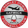 Wappen Crawley Down Gatwick FC  84734