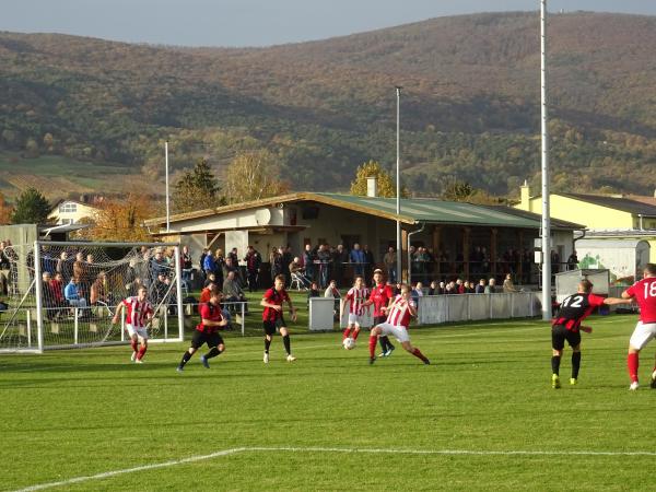 Sportplatz Pfaffstätten - Pfaffstätten