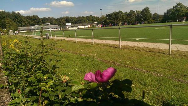 Sportanlage an der Gesamtschule Platz 2 - Herten/Westfalen-Disteln