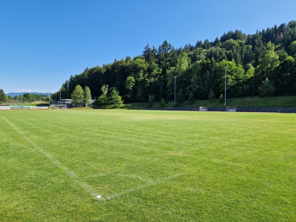 Sportanlage Waldegg Platz A - Horgen