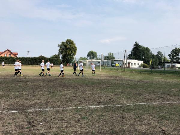 Boisko w Niemstowie - Niemstów