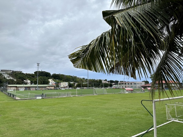 Terrain synthétique de Fédération Tahitienne de Football - Papeete