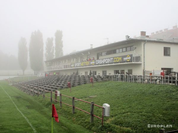 Alter Zustand (Naturrasen)