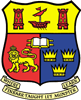 Wappen University College Cork AFC