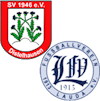 Wappen SpG Distelhausen/Lauda 1913 II