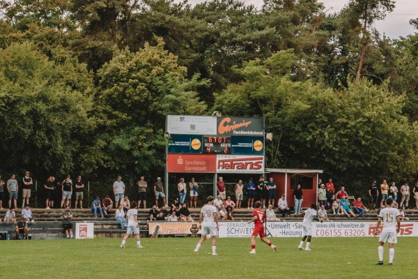 Waldsportplatz - Darmstadt-Heimstättensiedlung