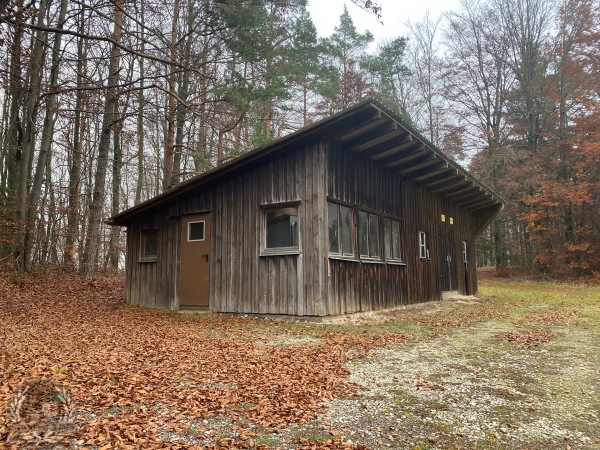 Sportplatz im Wald - Betzenstein