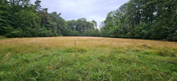 Waldsportplatz - Kurtscheid