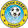 Wappen TJ Slovan Vesec B  129901
